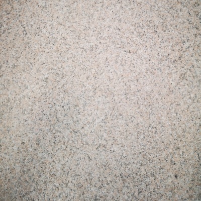 G681